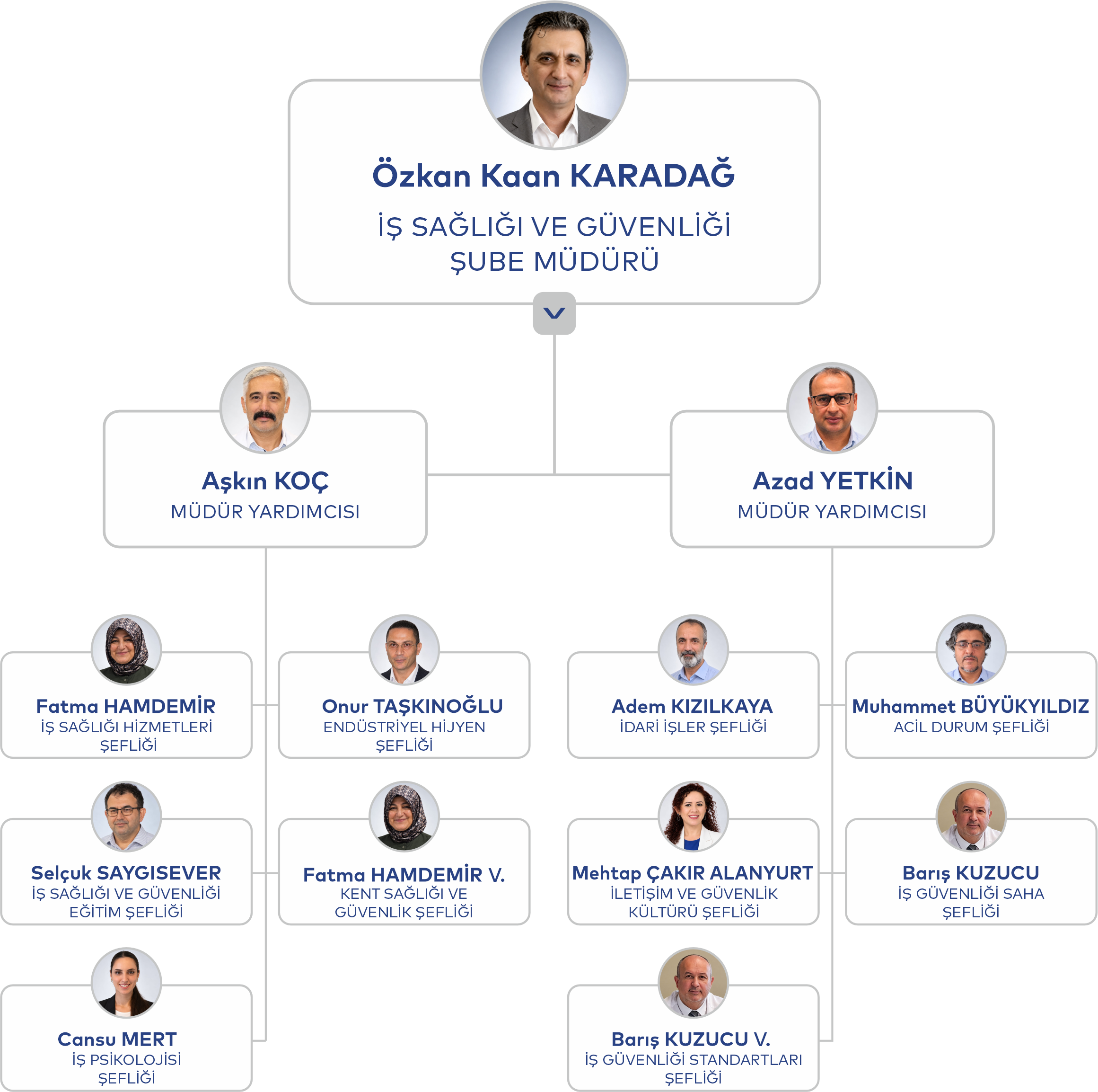 Müdürlük organizasyon şeması